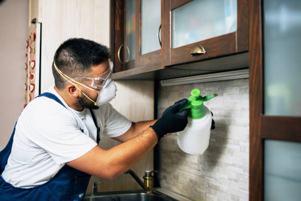 Best Commercial Pest Control Services  in Manitou Springs, CO