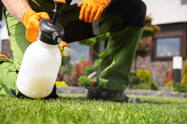 Best Commercial Pest Control Services  in Manitou Springs, CO