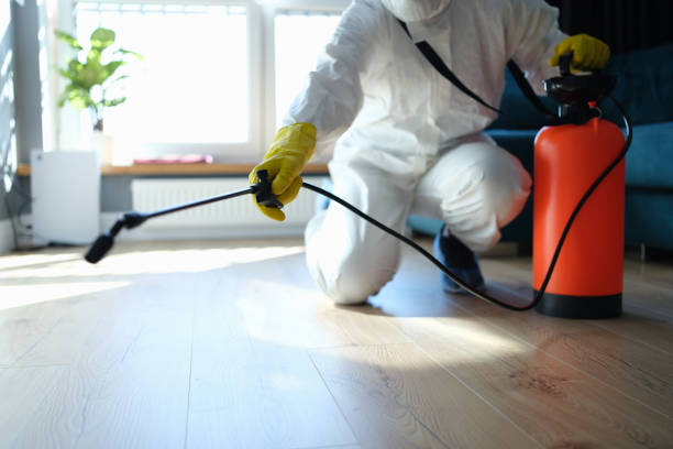 Best Flea Control Services  in Manitou Springs, CO