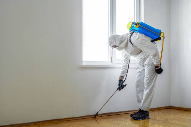 Best Affordable Pest Control Services  in Manitou Springs, CO