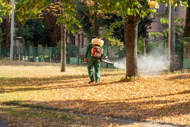 Flea Control Services in Manitou Springs, CO