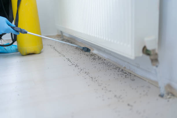 Best Residential Pest Control  in Manitou Springs, CO