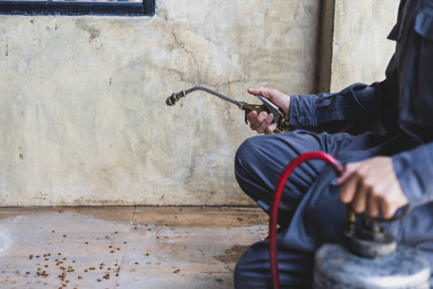 Best Exterminator Services  in Manitou Springs, CO